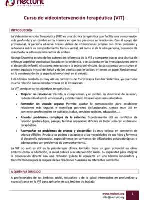 Curso de vídeointervención terapéutica (VIT)